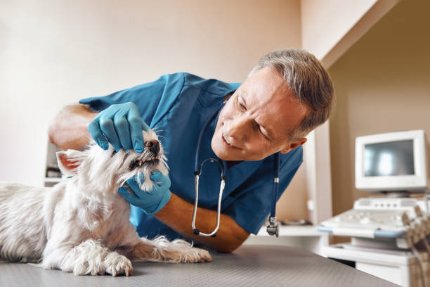 Best Emergency Wisdom Tooth Extraction in Old Jefferson, LA